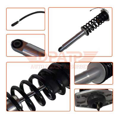 อะไหล่รถยนต์ 248256 ชุดคอยล์โอเวอร์ สปริงช่วงล่าง โช้คอัพหลัง โช้คอัพแบบเหนี่ยวนำสำหรับ Maserati Quattroporte M139 2007-