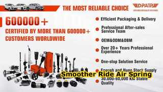 2133280100 2133280200 สปริงกันสะเทือนหลังการขายสำหรับ Benz W253 W213